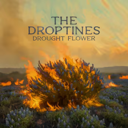 The Droptines – Drought Flower (2026)