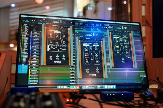 Moog Music Plugins Bundle 2024