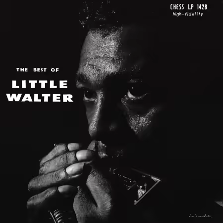 th_wBtSyA7TrDWRSWiMBZJDr4xKn9UthiHR.avif_