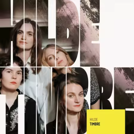 Hilde – Timbre (2026)