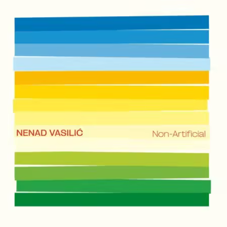 Nenad Vasilic – Non Artificial (2026)