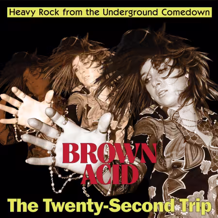 VA – Brown Acid – The Twenty Second Trip (2026)