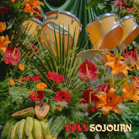 CAVS – Sojourn (2026)