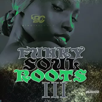 Big Citi Loops Funky Soul Roots 3 WAV MiDi-FANTASTiC screenshot