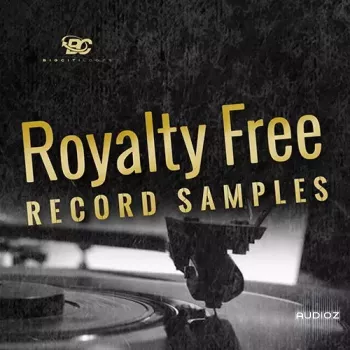 Big Citi Loops Royalty-Free Record Samples WAV REX-FANTASTiC screenshot