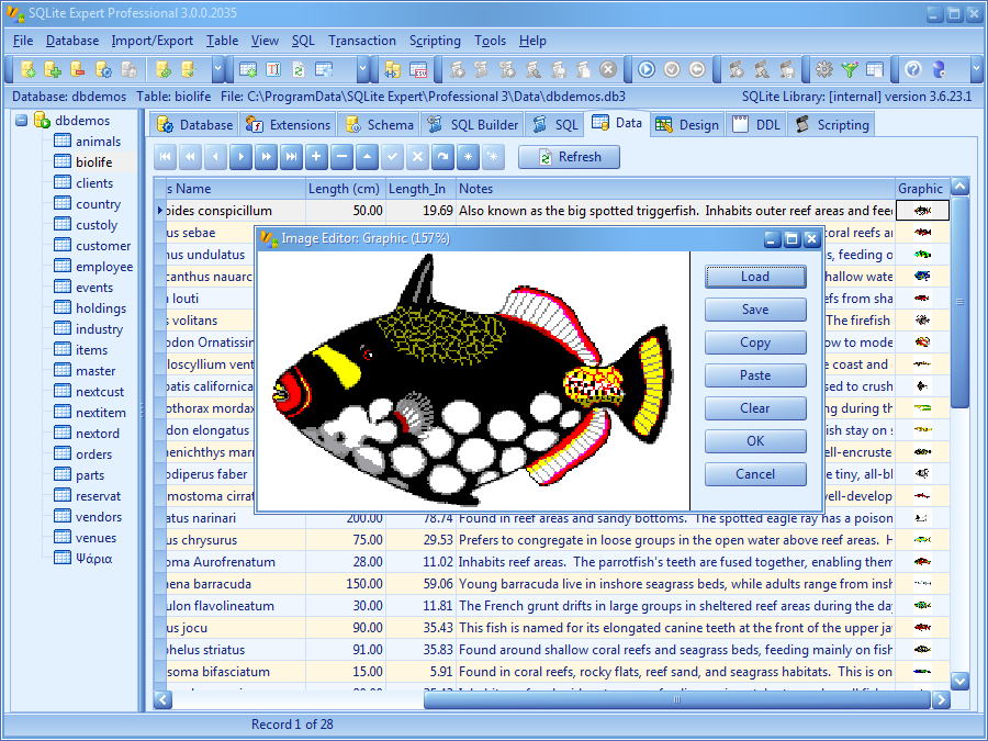 SQLite Expert Professional 5.5.42.655 x64