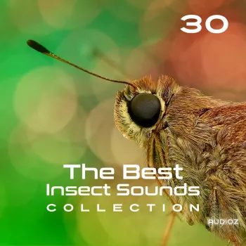 Close To Nature Music Ensemble 30 The Best Insect Sounds Collection Fly with Creature, Sound Effects, Magic Library FLAC-FANTASTiC screenshot