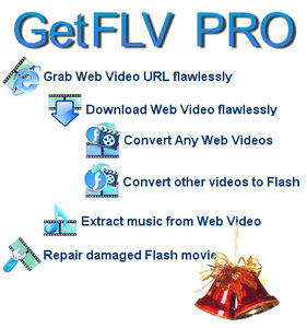 GetFLV Pro 9.3.1.8 Multilingual FLV下载、管理、转换工具集