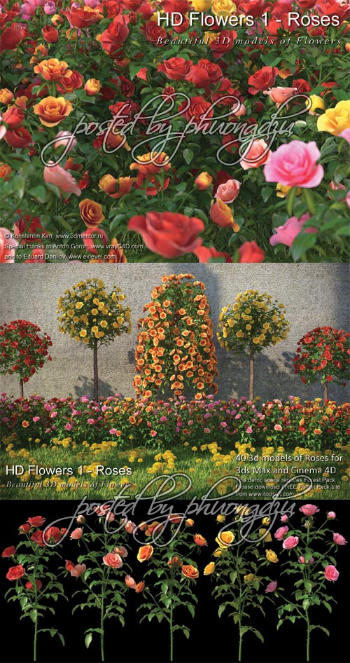 3DMentor HD Flowers 1: ROSES – FULL MAX format 玫瑰花3D模型