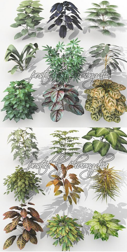 Dream Land Models 108 Plant set 1-3 for Vue - Vuegen Dream Land Models 108 Plant set 1-3 for Vue - Vuegen