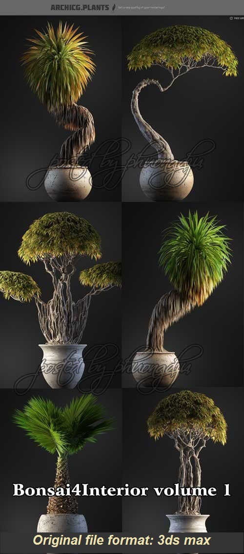 ArchiCG Plants : Bonsai4Interior Vol.1 盆栽植物模型