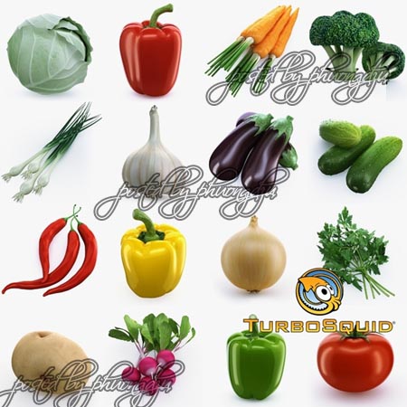 TurboSquid – Collection of Vegetables 蔬菜模型