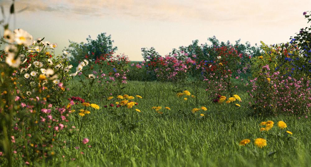 R&D Group – iFlowers vol.1 Field 植物和鲜花模型