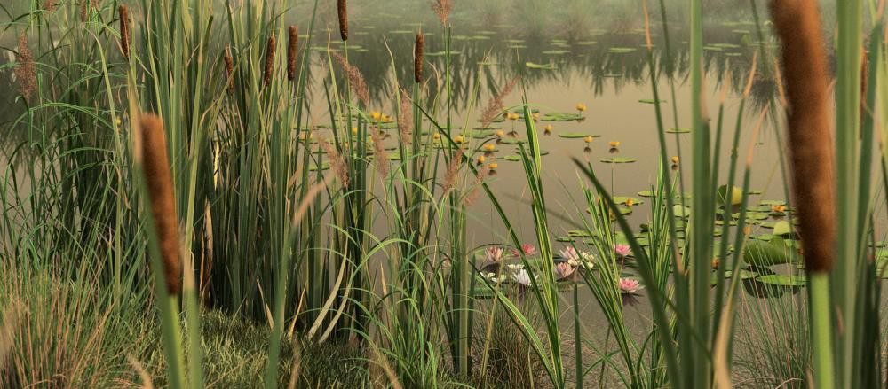 R&D Group &ndash; iFlowers vol.4 Water