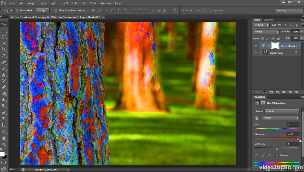 Mastering Color Correction in Photoshop Take Control of the Colors in Your Images