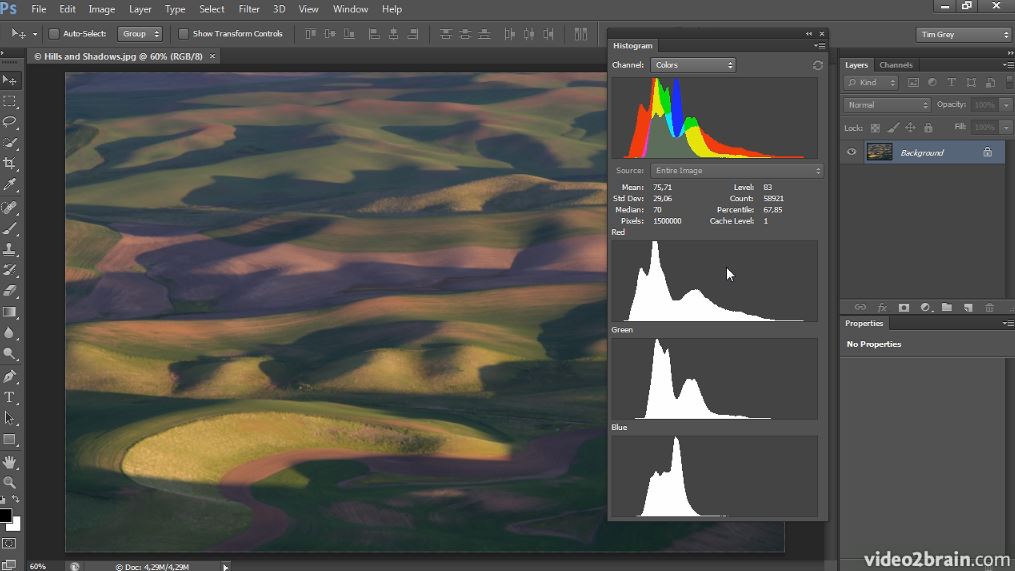 Mastering Color Correction in Photoshop Take Control of the Colors in Your Images