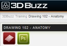 3DBuzz – Drawing 102 – Anatomy