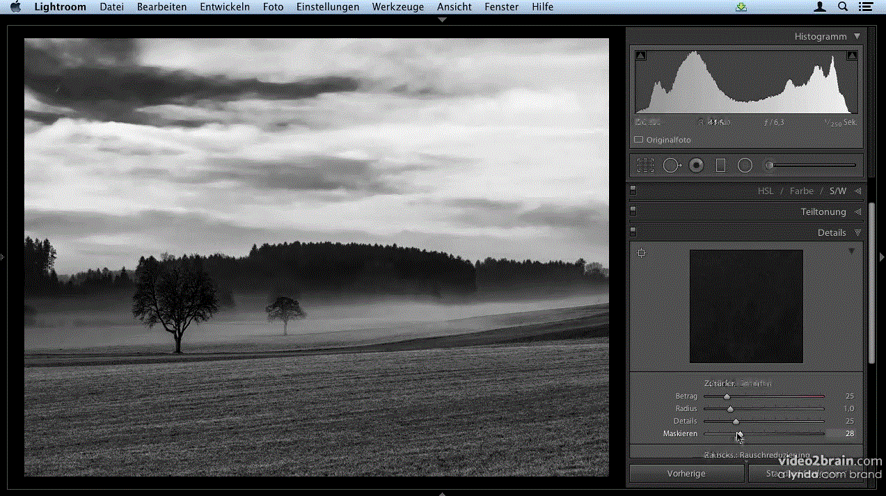 Bilder in Schwarz-Weiß Mit Photoshop, Lightroom und Silver Efex Pro