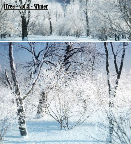 R&D Group &ndash; iTrees vol.3 Winter 冬季树木模型