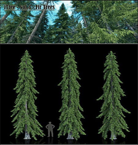 R&D Group &ndash; iTrees vol.4 Fir Trees