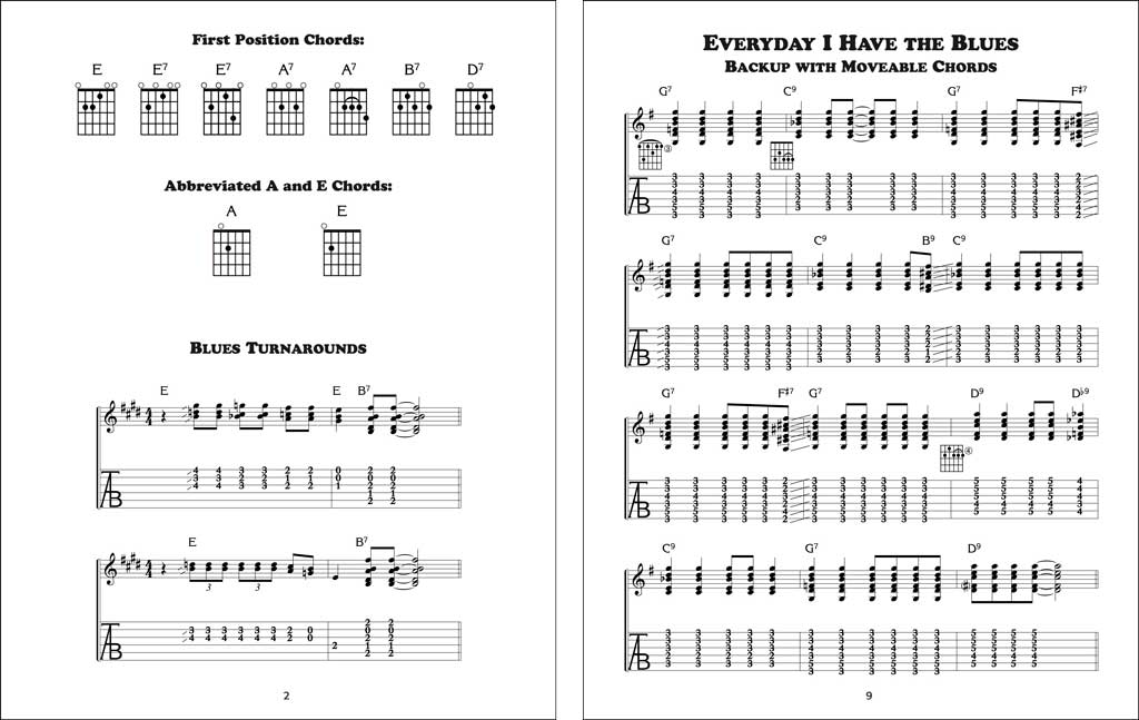 Grossman Guitar Workshop - Fred Sokolow - Electric Blues Guitar - DVD (2006)