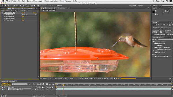 Lynda – After Effects: Creative Cloud Updates (Updated May 08, 2014)