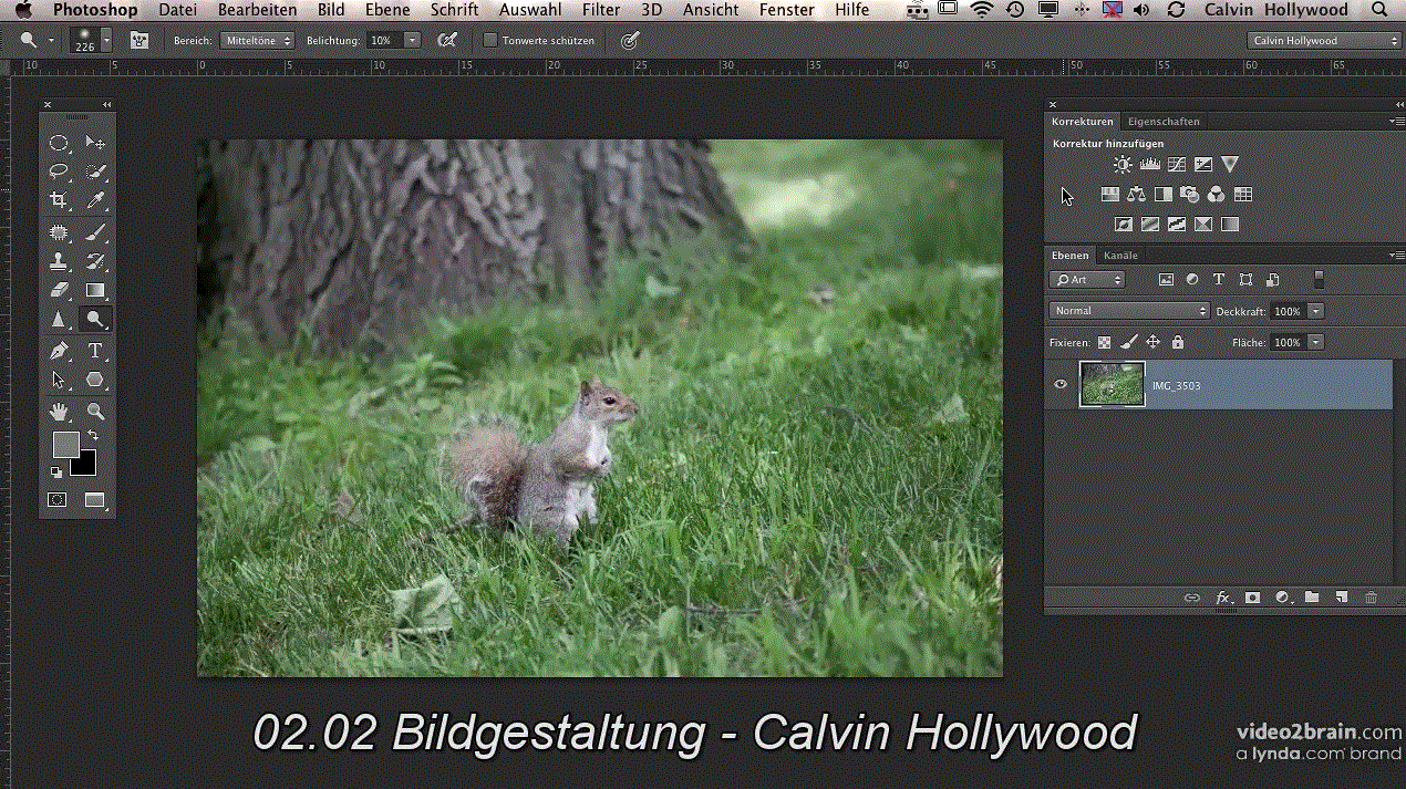 Bildoptimierung mit Photoshop Das Wesentliche für die Bildretusche