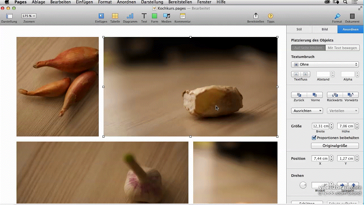 Layouts und Textverarbeitung mit Pages Texte aufbereiten und kreativ gestalten