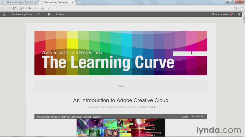 Start with a Theme Video Blogs in WordPress (2013)