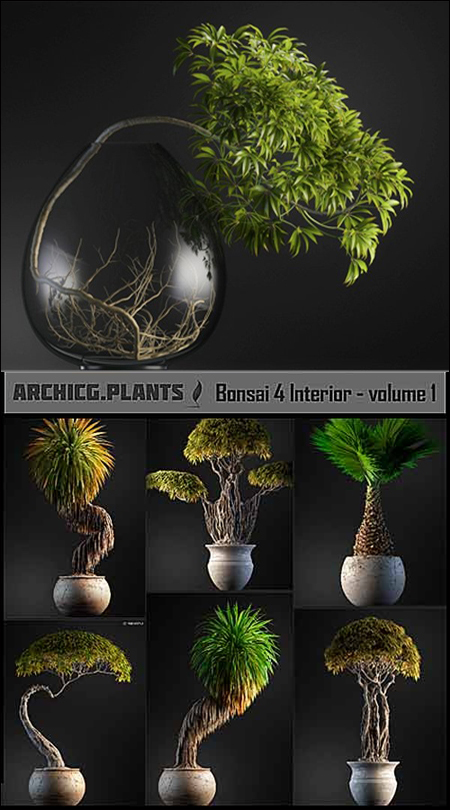 ArchiCG-Plants: Bonsai 4 Interior Volume 1 室内盆景大型模型合集