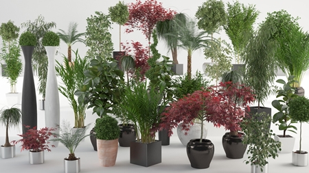 VIZPARK Interior Plants for 3ds Max 室内植物模型