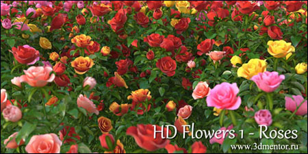 3DMentor – HD Flowers vol. 1: Roses 花卉模型集合