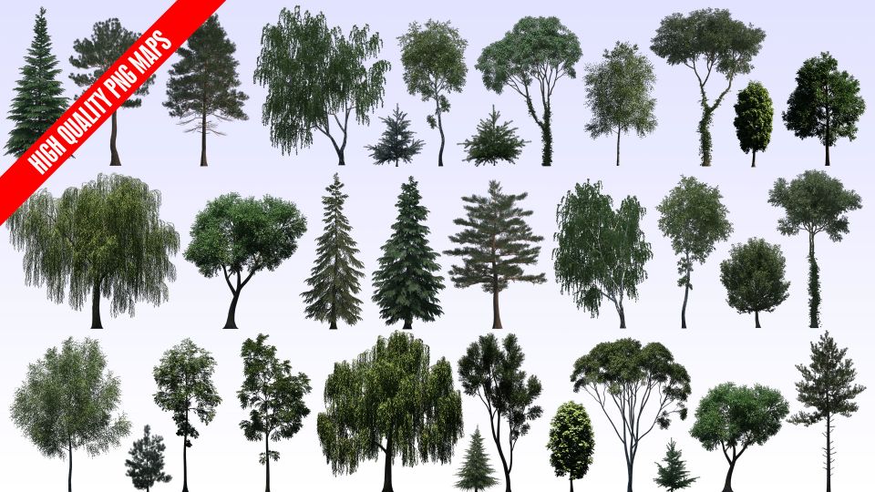 Evermotion – Textures4ever vol.8 – Trees