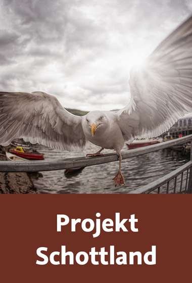 Projekt Schottland Fotografieren in den Highlands: Landschaft, Panorama, Fisheye, Porträts