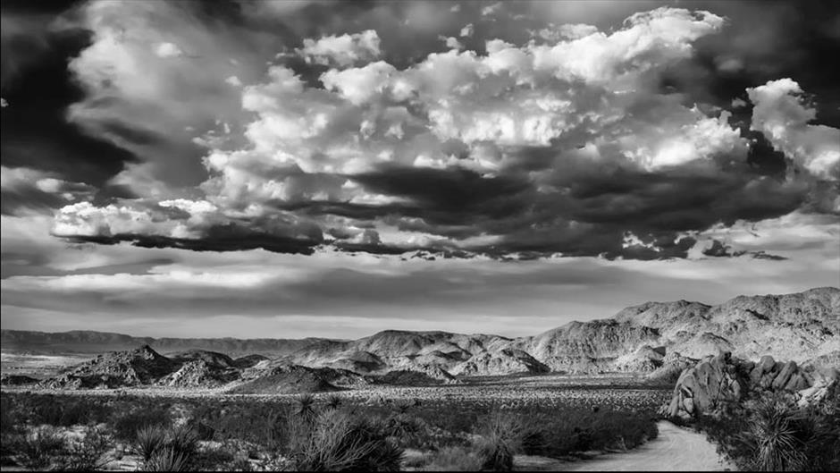 Lynda – Black-and-White Project: Creating a Dramatic Landscape with Lightroom and Photoshop
