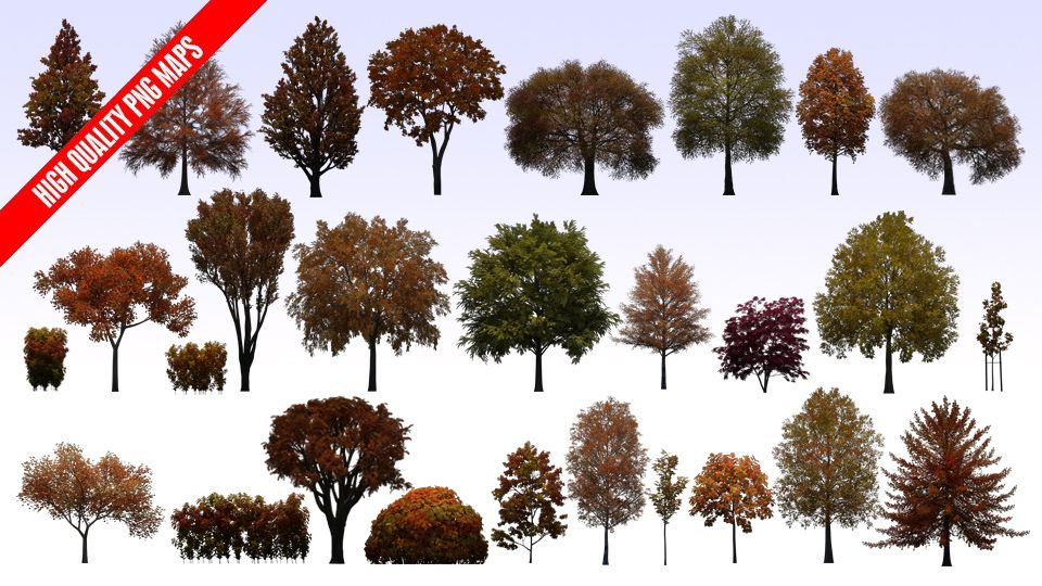 Evermotion Textures4ever vol.9 – Fall and Winter Trees 秋/冬季3D树木