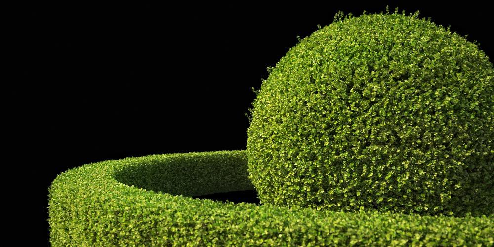 R&D Group &ndash; iBushes vol.1 灌木3D模型