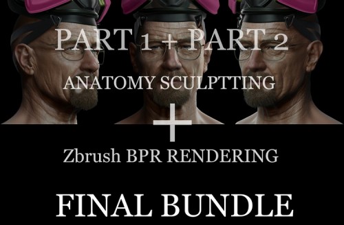Gumroad – Anatomy Sculpting and ZBrush BPR Package by Frank Tzeng