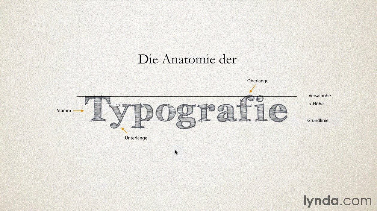 Grundlagen der guten Gestaltung Grafikdesign für Nicht-Designer - Eine Einführung