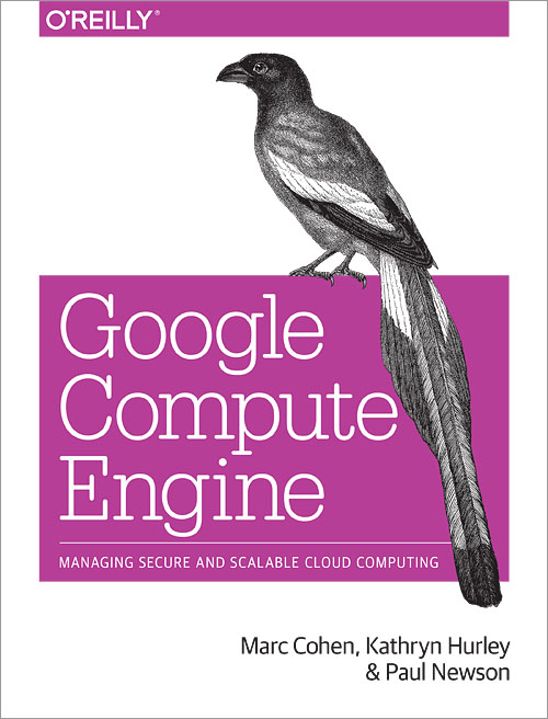 Google Compute Engine 2015-P2P