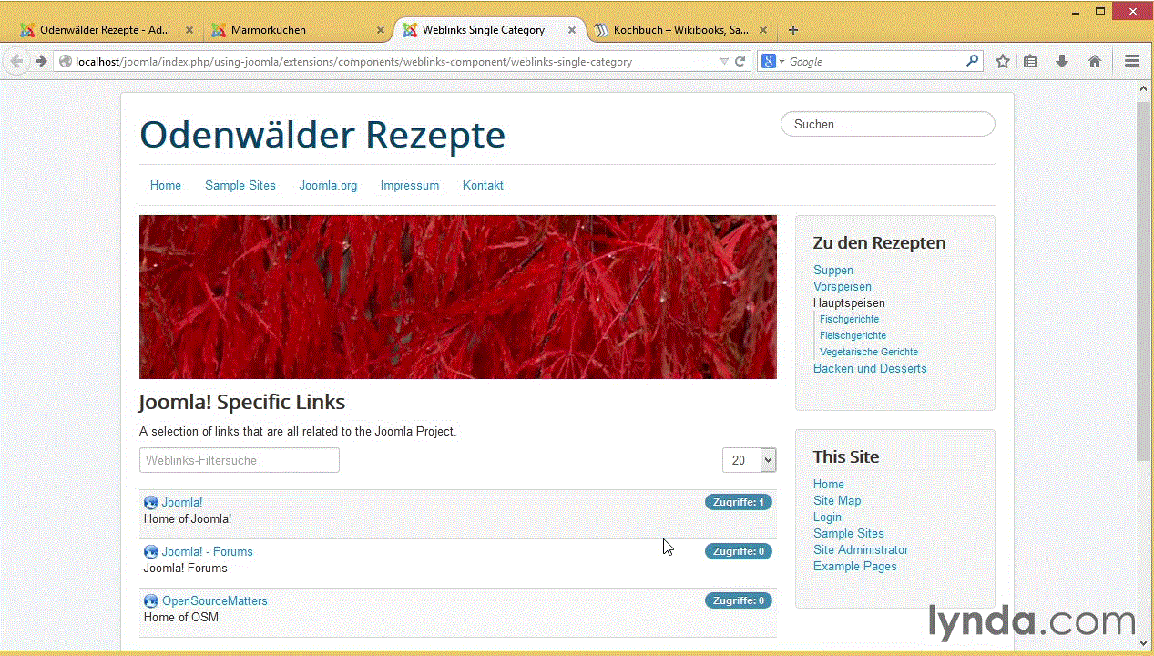 Joomla! 3 – Zusatzfunktionen Komponenten, Module, Banner, Kontaktformulare, Links, Plug-ins, Erweiterungen