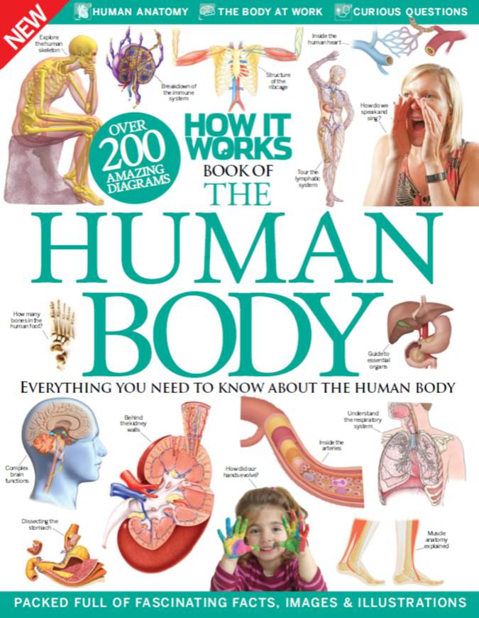 How It Works – Book of The Human Body 4th Revised Edition-P2P