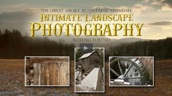 Intimate Landscape Photography