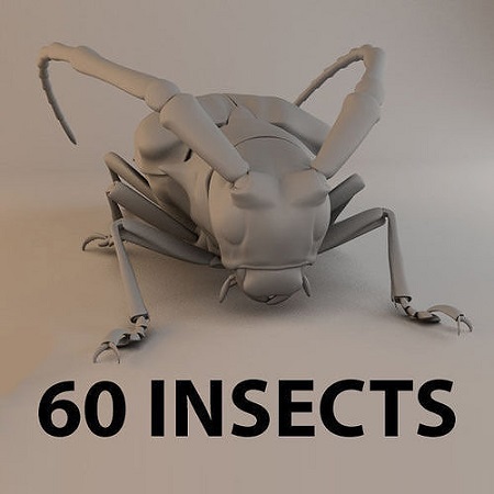 Cgtrader – 3D Model Collection 2 Mar 2019