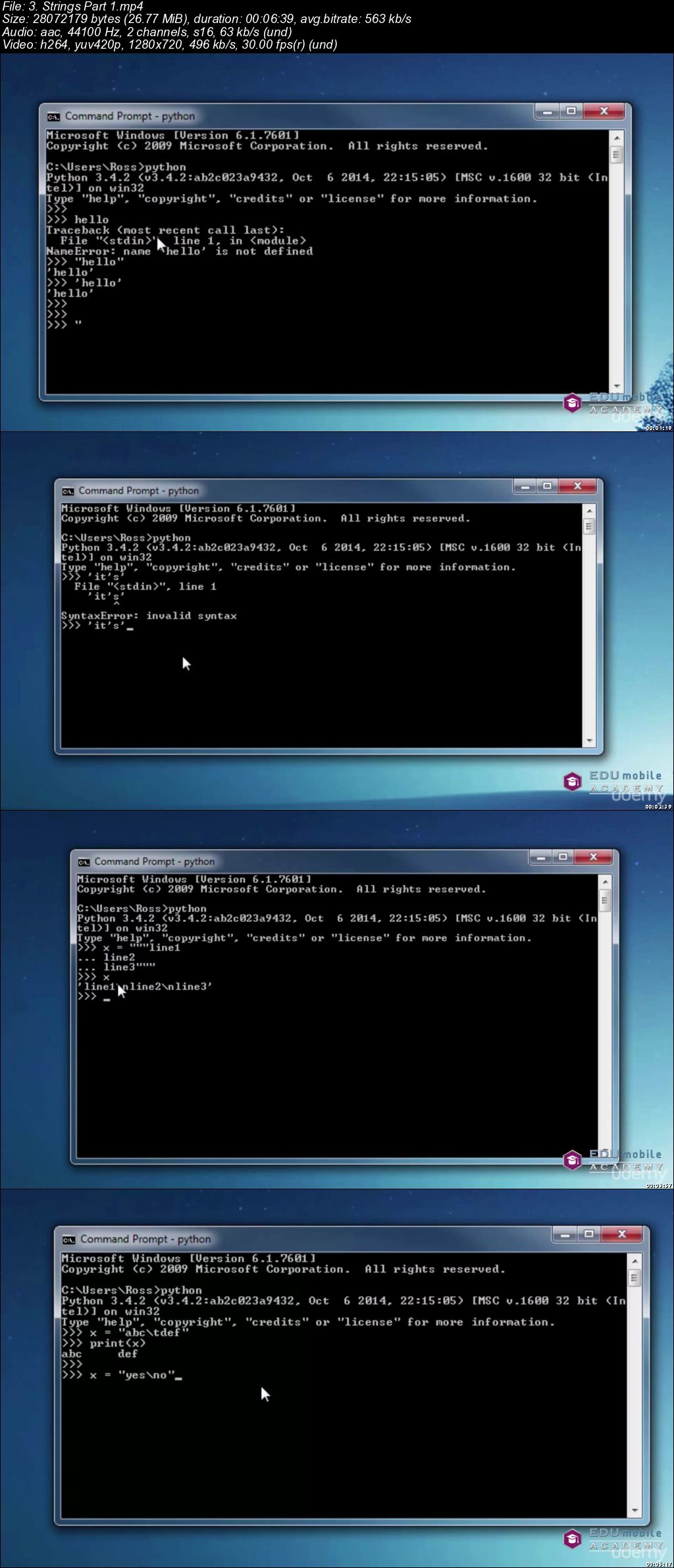 A Gentle Introduction to Python Programming