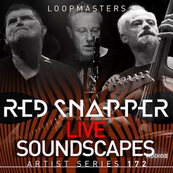 Loopmasters Red Snapper Live Soundscapes WAV REX screenshot