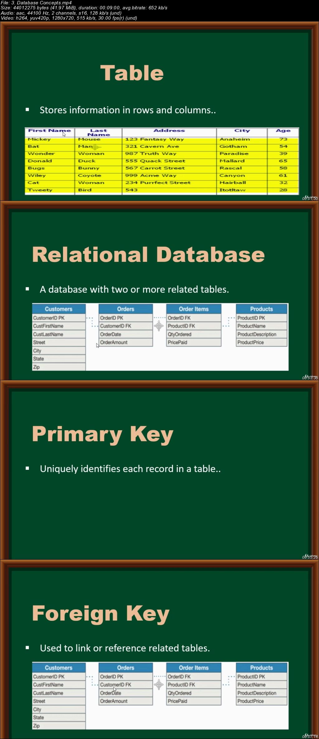 SQL Programming For Beginners