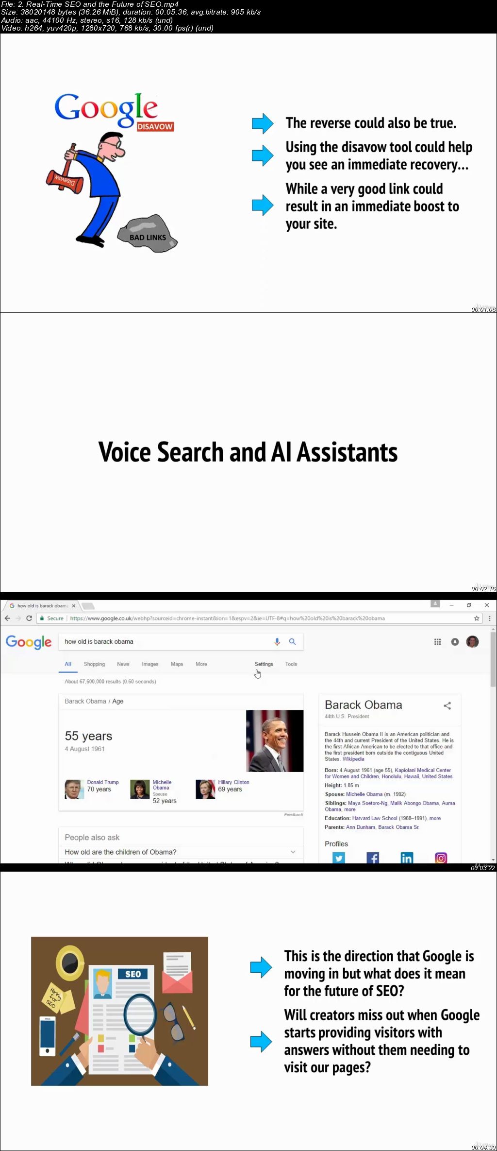 SEO WordPress Training: The Best Google Rank Strategies