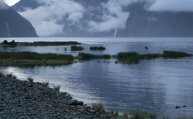 Gumroad – Photobash Misty Lagoon