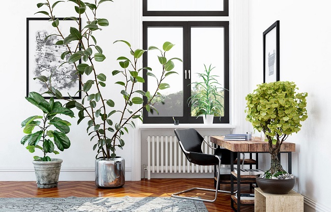 Evermotion Archmodels vol. 173 – Indoor Plants Complete
